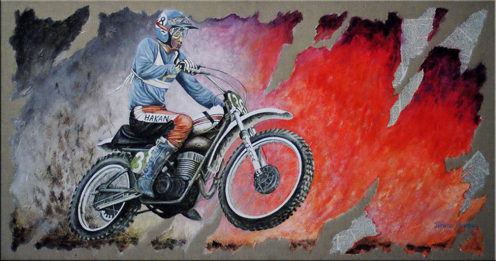 zoom sur la peinture du pilote suédois Hakan Andersson
