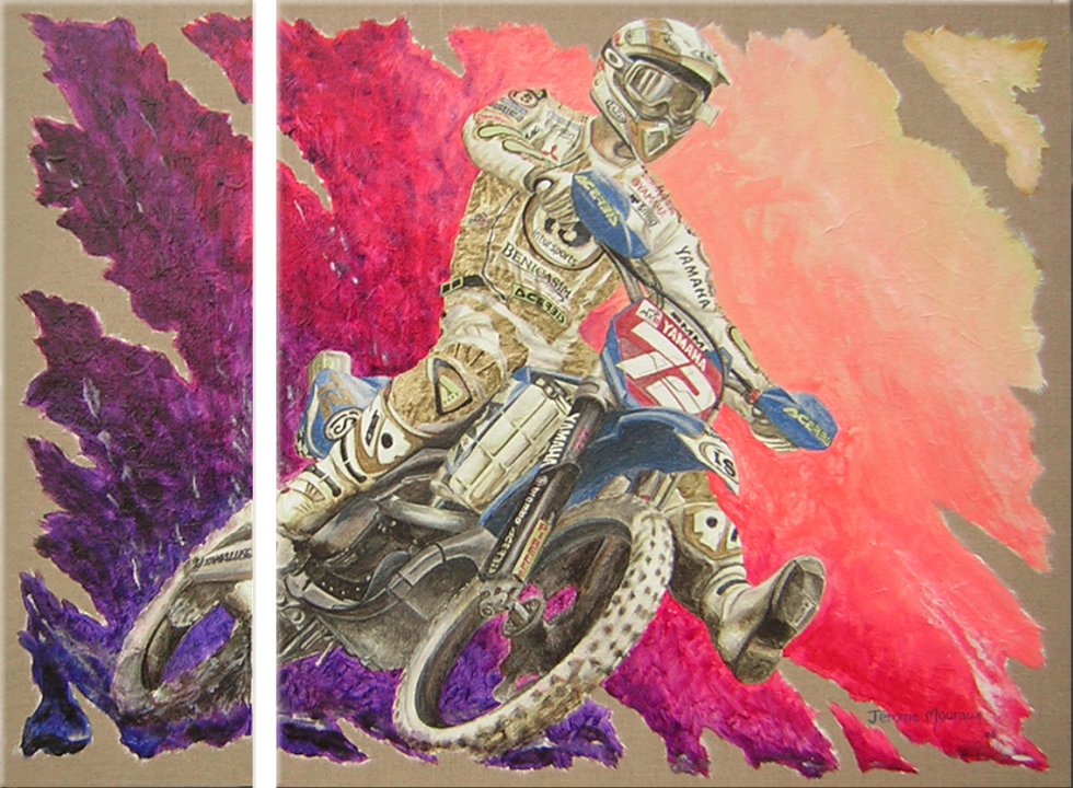 zoom peinture motocross Stefan Everts Gp Ernée