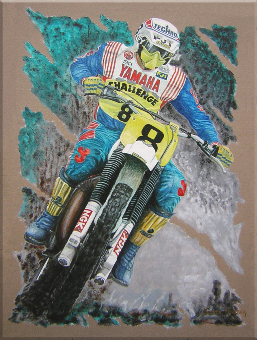 zoom tableau motocross d‘Hakan Carlqvist